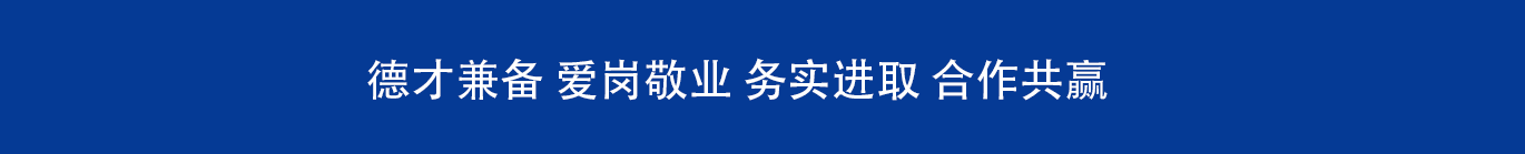 upload/img/20250213131540.png